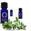 Thyme, Thymol