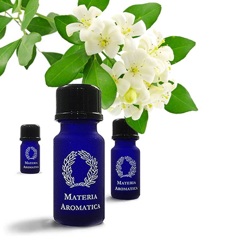 Jasmine Grandiflorum (Absolute)