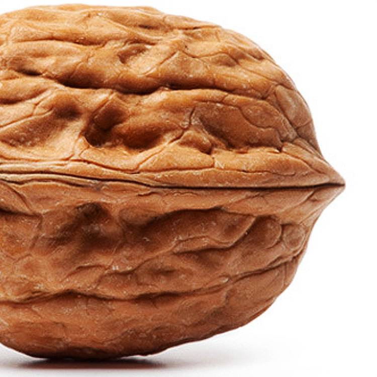 Walnut