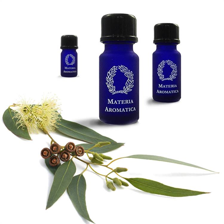 Eucalyptus, lemon-scented